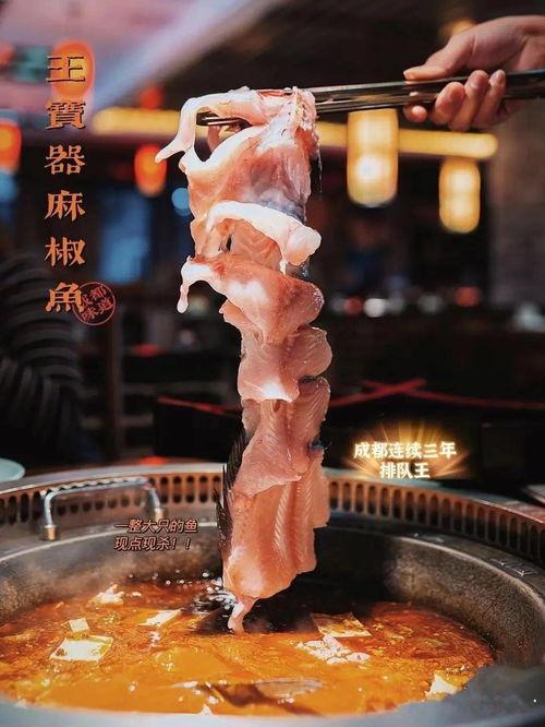 鱼白摆网红,揭秘网络红人的崛起之路